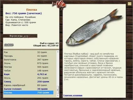 Вобла где ловить