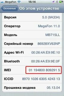 Узнать состояние айфона