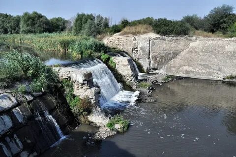 Грэс красного сулина