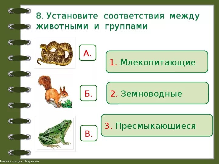 Задание на соответствие по окружающему миру. Задание по теме класс земноводные. Млекопитающие и пресмыкающиеся и земноводные. Земноводные и пресмыкающиеся задания для дошкольников.