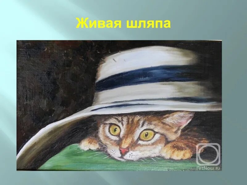 Котенок живая шляпа. Картина носова живая шляпа. живая шляпа иллюстрации. кот под шляпой. котенок под шляпой рисунок.