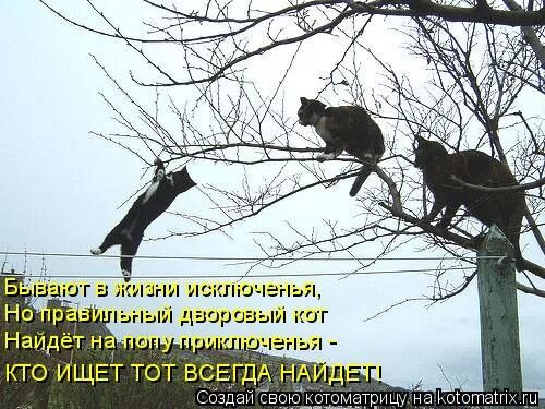 Кто ищет тот всегда найдет. Кто ищет тот сегда найдёт. Кто ищет тот всегда найдет Мем. Кто ищет тот найдет картинки. Работа всегда находится