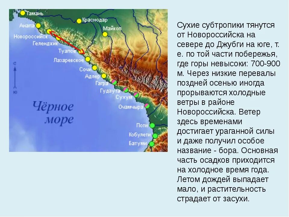 Субтропики расположение. Климат субтропиков Черноморского побережья. Климат субтропиков Черноморского побережья России. Расположение субтропиков на карте России. Зона субтропиков Черноморского побережья на карте.