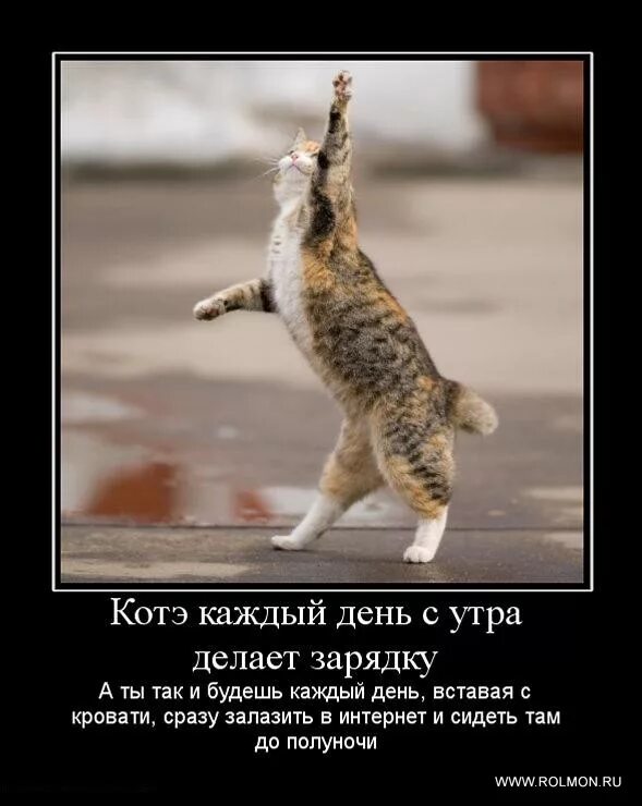 Таня решила делать зарядку каждое утро. Зарядка юмор. утренняя зарядка юмор. приколы про зарядку по утрам. анекдоты про зарядку по утрам.