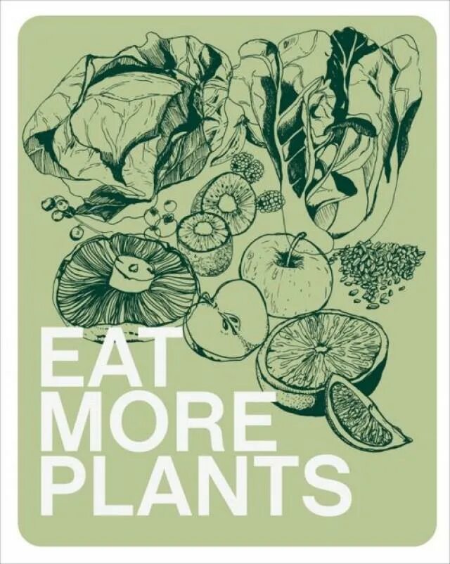 Keep calm and eat pizza. Eat plants. Stem. Eat plants and animals omnivore. Plant eating bugs.