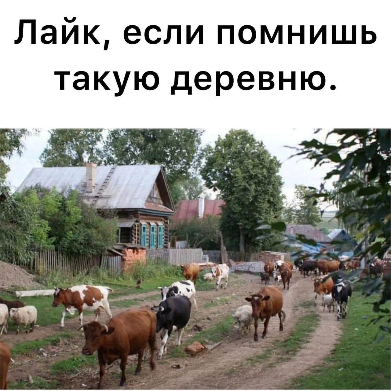 Можно ли ездить в деревню