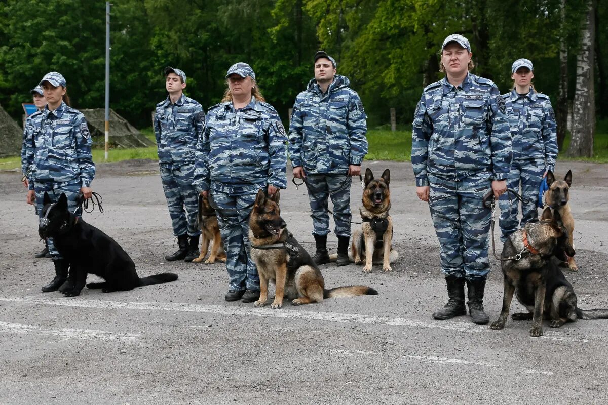 Соревнования кинологов МВД. Форма кинолога. Учеба на кинолога. Московских кинолог