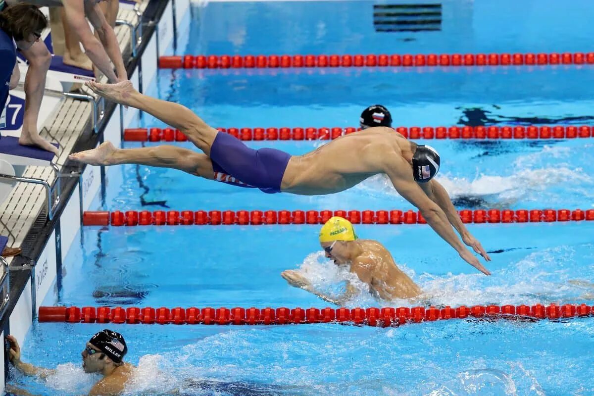 Плавание ациклический вид спорта. Майкл Фелпс в бассейне. Майкл Фелпс эстафета. Пловцы в бассейне на Олимпиаде. Бассейн Олимпийский пловец.