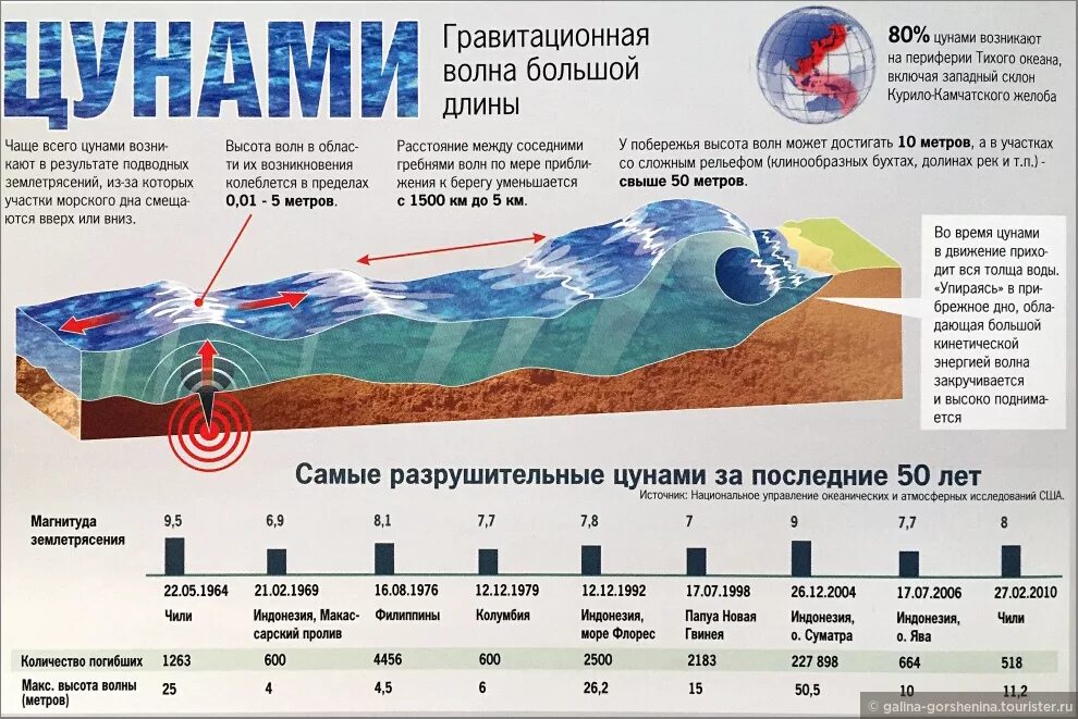 Высота ЦУНАМИ. Где возникают ЦУНАМИ. Схема образования ЦУНАМИ. Волна ЦУНАМИ.