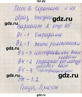 История 6 класс тест 24