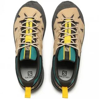 Salomon advanced