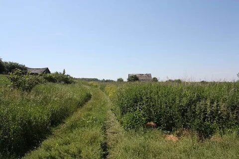 Мордовия ромодановский