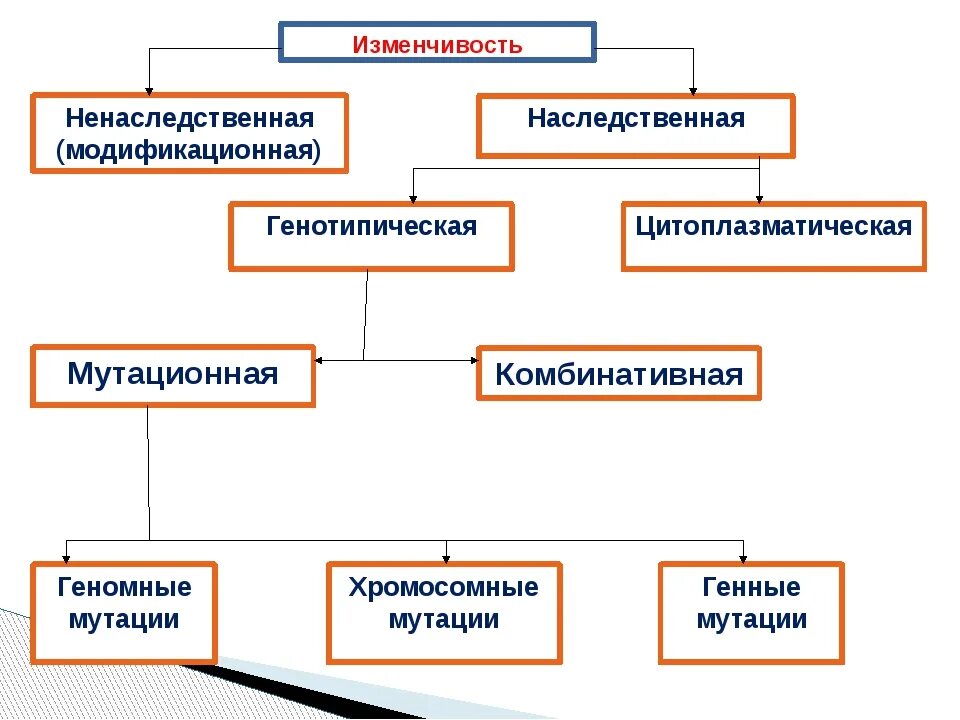 Изменчивость таблица биология. Типы наследственной изменчивости 10 класс. Биология 9 класс таблицы наследственная изменчивость. Наследственная изменчивость таблица. Классификация наследственной изменчивости таблица.