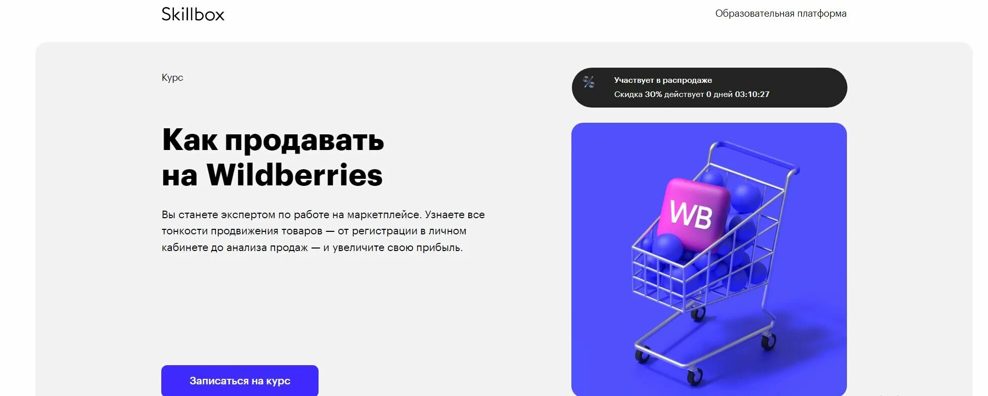 Маркетплейс вайлдберриз отзывы. Курсы Wildberries. Wildberries как продавать. Wildberries курс. Заработок на Wildberries.