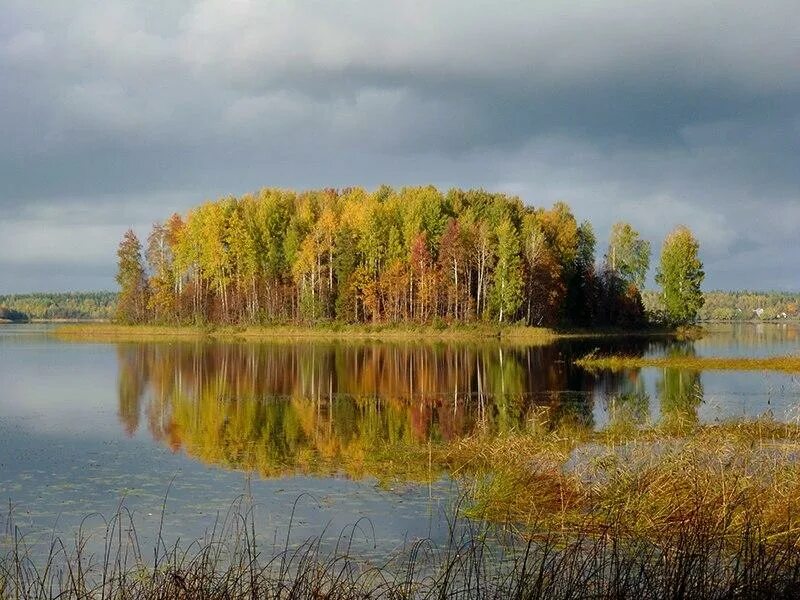 Валдайский заповедник Новгородской области. Валдайский национальный парк. Новгородская область парк Валдайский национальный парк. Озера Валдайского национального парка. Валдайский жемчужине средней полосы россии