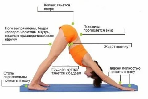Как называется когда не встает