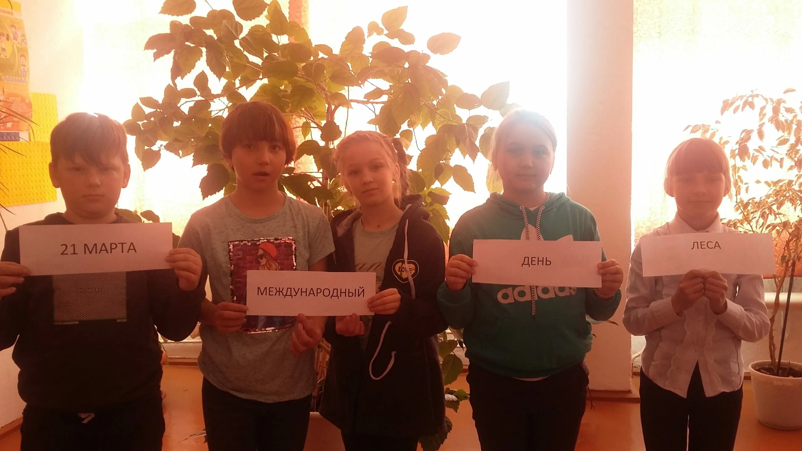 выставка в лесу.