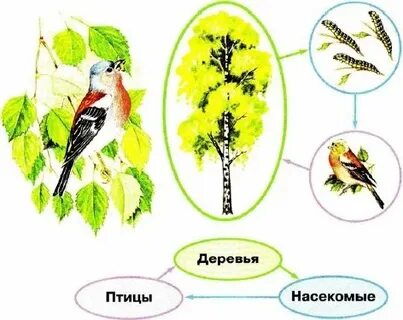 Какие невидимые нити в весеннем лесу