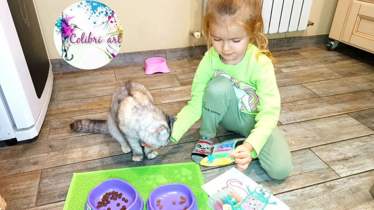 Челлендж животные. Кошка Аня. Канал Аня Cat. Чем занять кота самодельная игрушка.