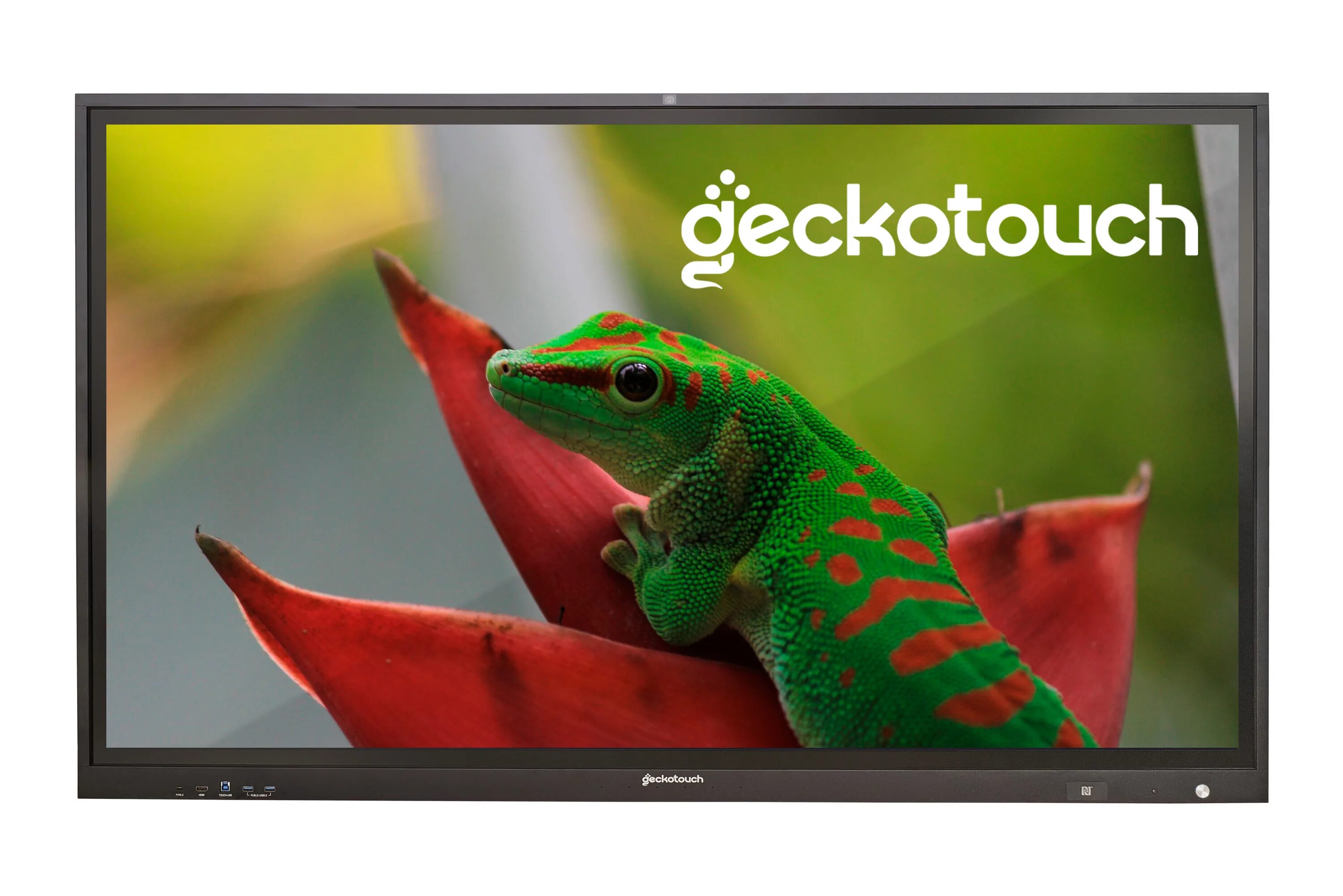 Geckotouch interactive. Интерактивная панель geckotouch. интерактивная панель geckotouch interactive ip86sl. geckotouch ip65sl 65 дюймов. pro interactive.