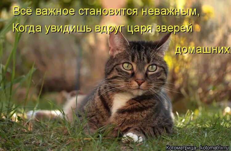 станут неважными. если скучаешь. стало так пофиг на то что было так важно. иногда становится так пофиг на то. стало так пофиг на то что было так важно.