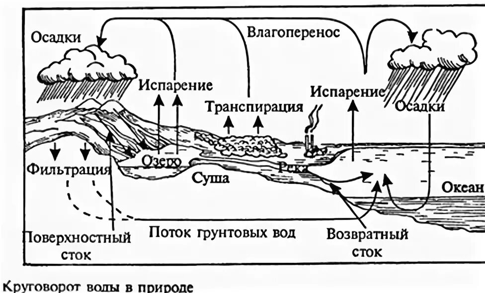 Схема круговорота воды в биосфере схема. Цикл воды в биосфере схема. Круговорот воды в биосфере схема. Полный цикл круговорота воды в биосфере. Этапы формирования воды в природе