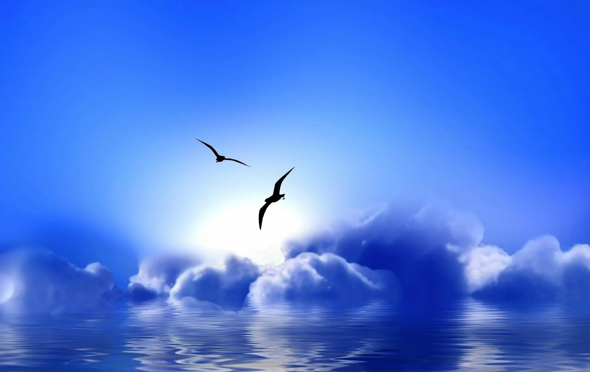 Синяя птица облака. Птицы в небе. Птицы в голубом небе. Две птицы в небе. Птицы над морем.