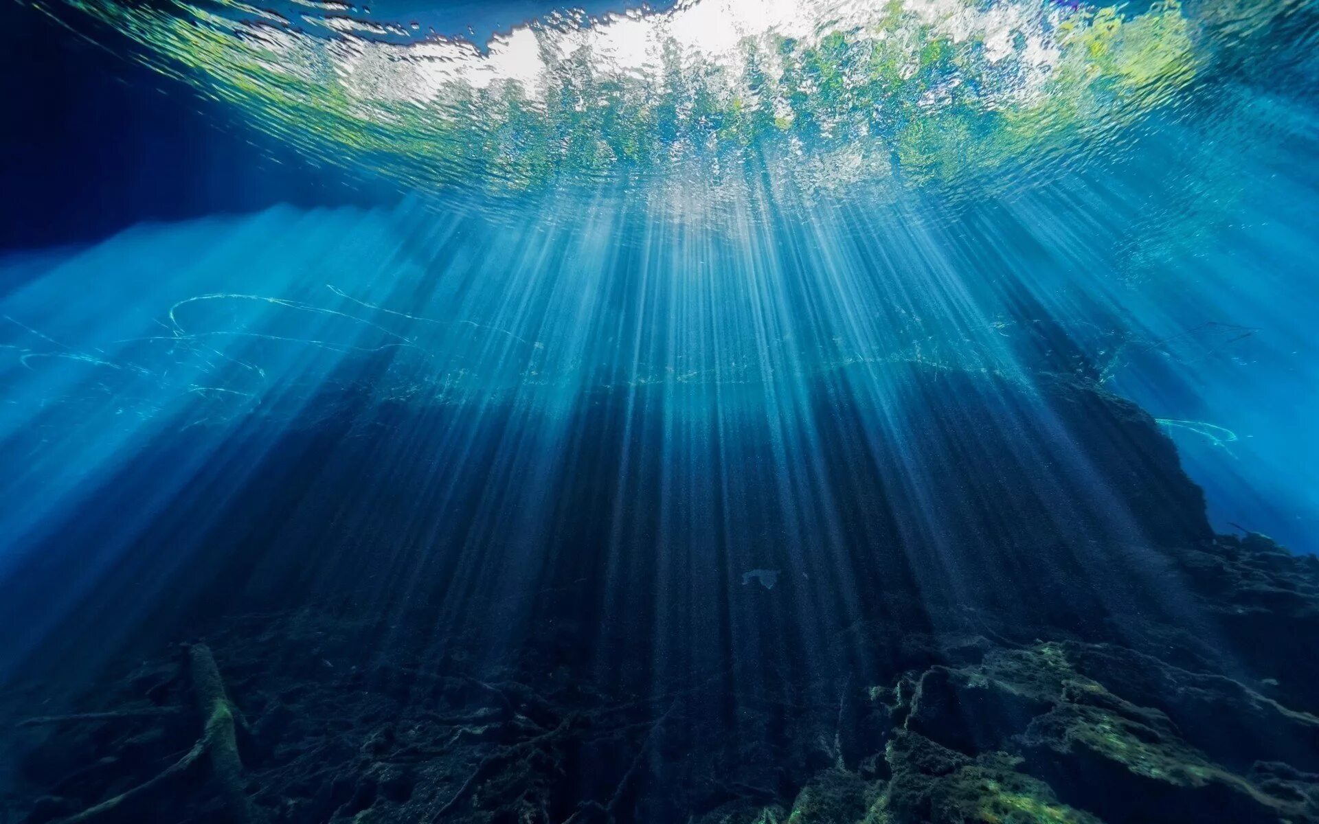 Глубь вод. Океаны. Глубина. Море под водой. Океан под водой. Дно океана.