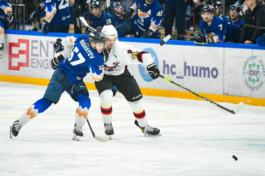 Горняк хумо. Влад гросс хоккеист. Горняк хумо. Humo хоккейная команда. Хоккей humo.