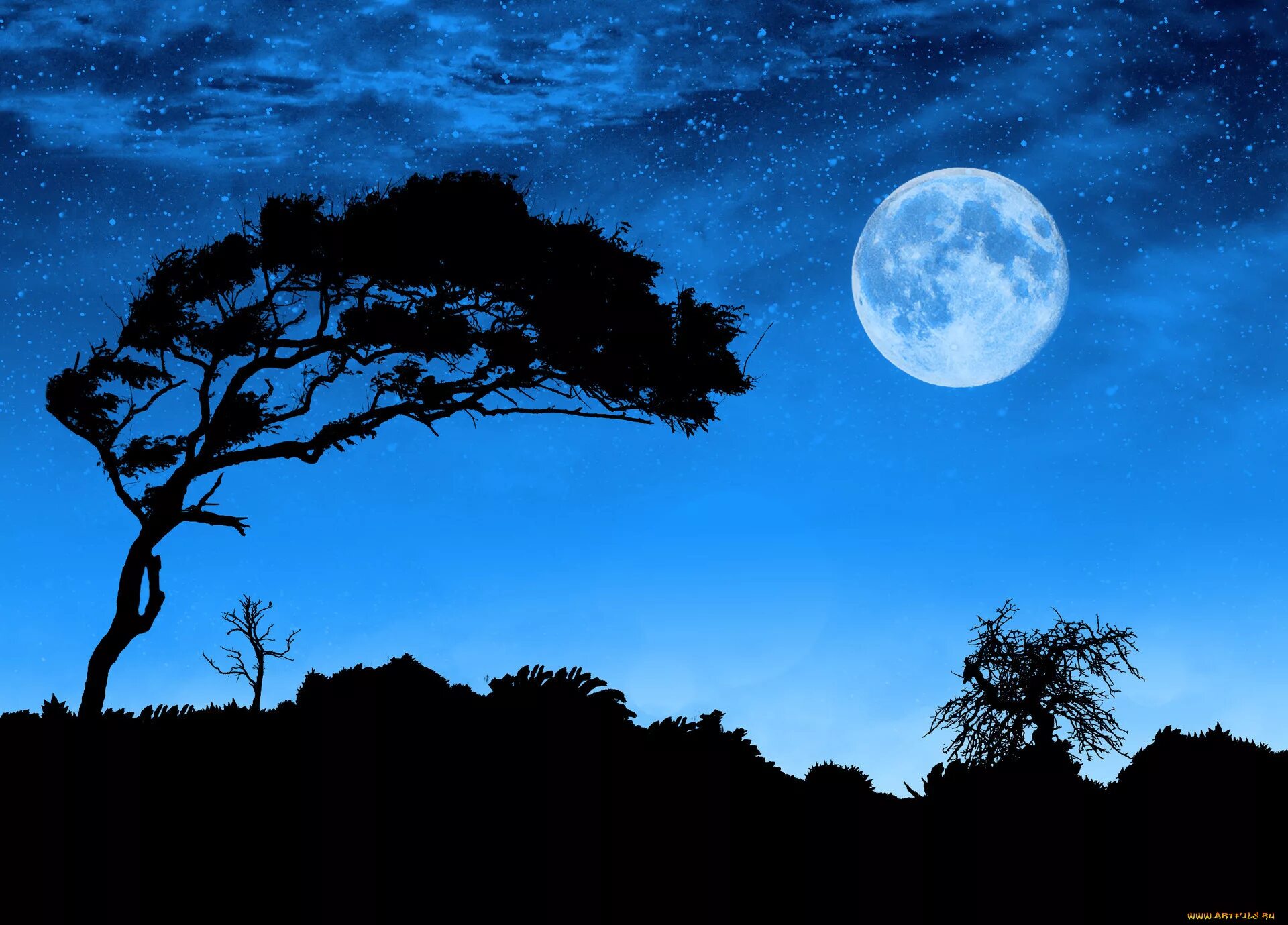 Какой лунной ночью. Лунная ночь. Пейзаж с луной. Ночной пейзаж с луной. Пейзаж лунной ночи и дерева.