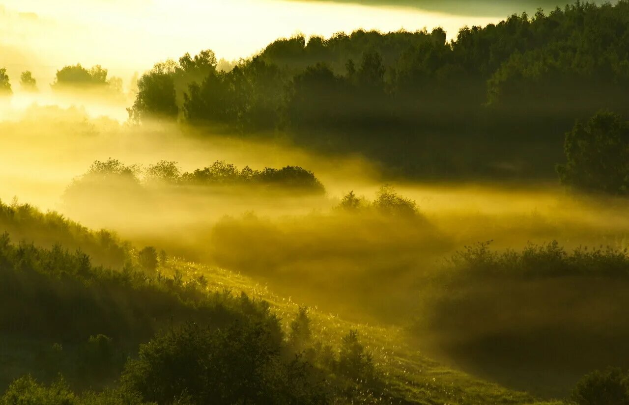 ой туманы мои растуманы минус
