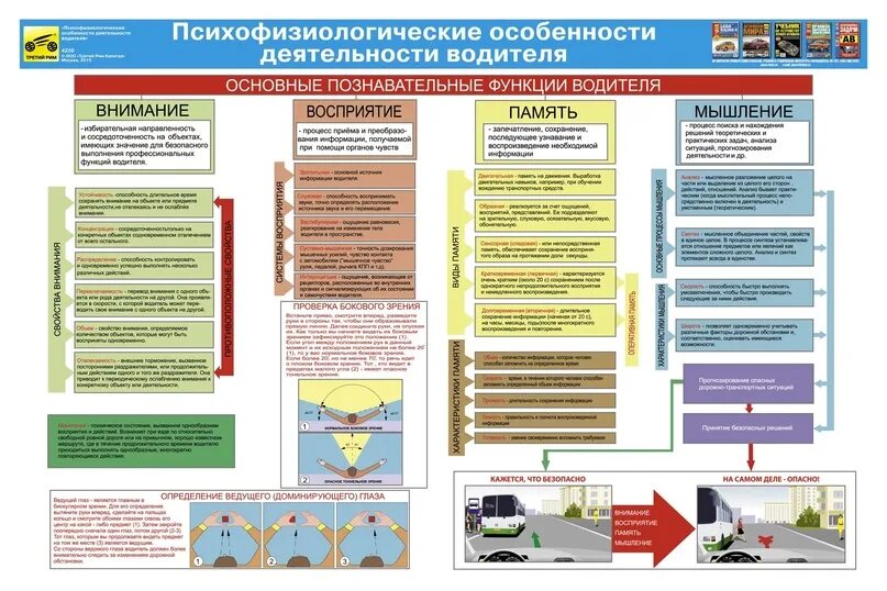Психофизиологические особенности водителя. Психофизиологические особенности водителя. Психофизические особенности деятельности водителя. Психофизиологические особенности водителя. Учебная деятельность водителя.