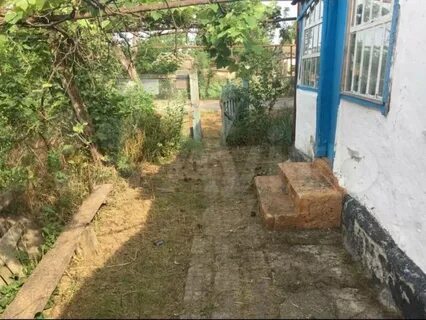 Погода забойский краснодарский край