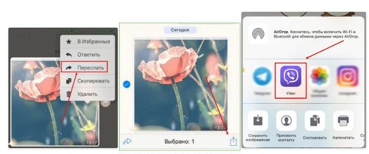 Как с вайбера переслать на ватсап фото. Как с вайбера переслать на ватсап. Переслать с вайбера на вацап. Как переслать фото из вайбера в ватсап. Переслать изображение