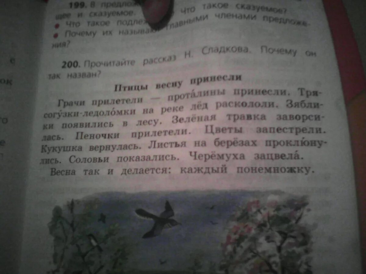 Прочитай слова грачи. Грачи прилетели проталины принесли. Прочитайте рассказ н.Сладкова почему он так назван. Значение выражений травка заворсилась листья проклюнулись. Грачи прилетели-проталины принесли нераспространенное предложение.