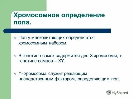 Пол определение общество
