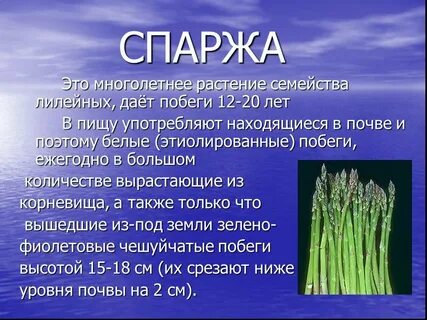 Спаржевые класс