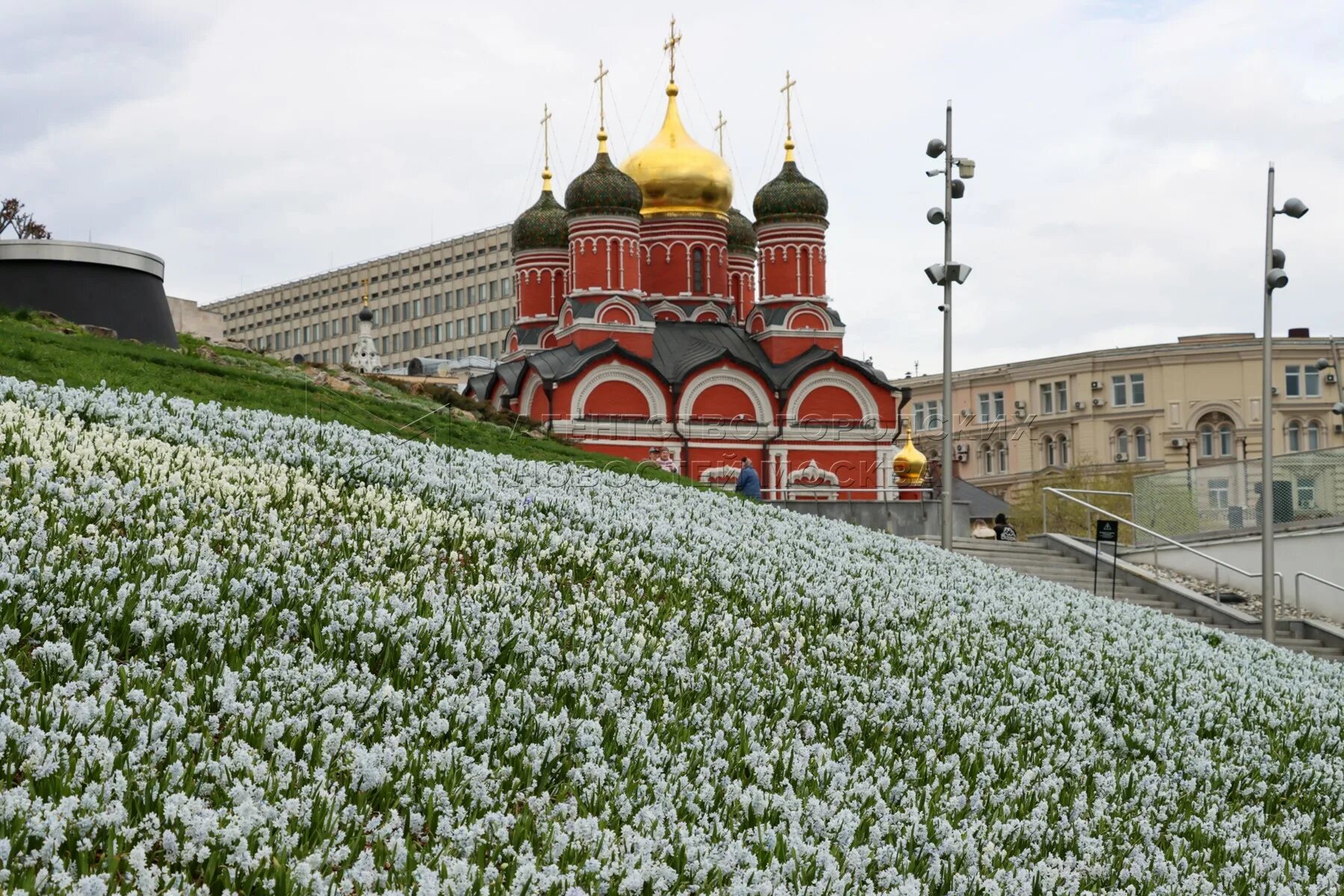 Цветы в Зарядье 2022. Парк Зарядье волны цветения. Цветы в парке Зарядье. Зарядье выставки 2024