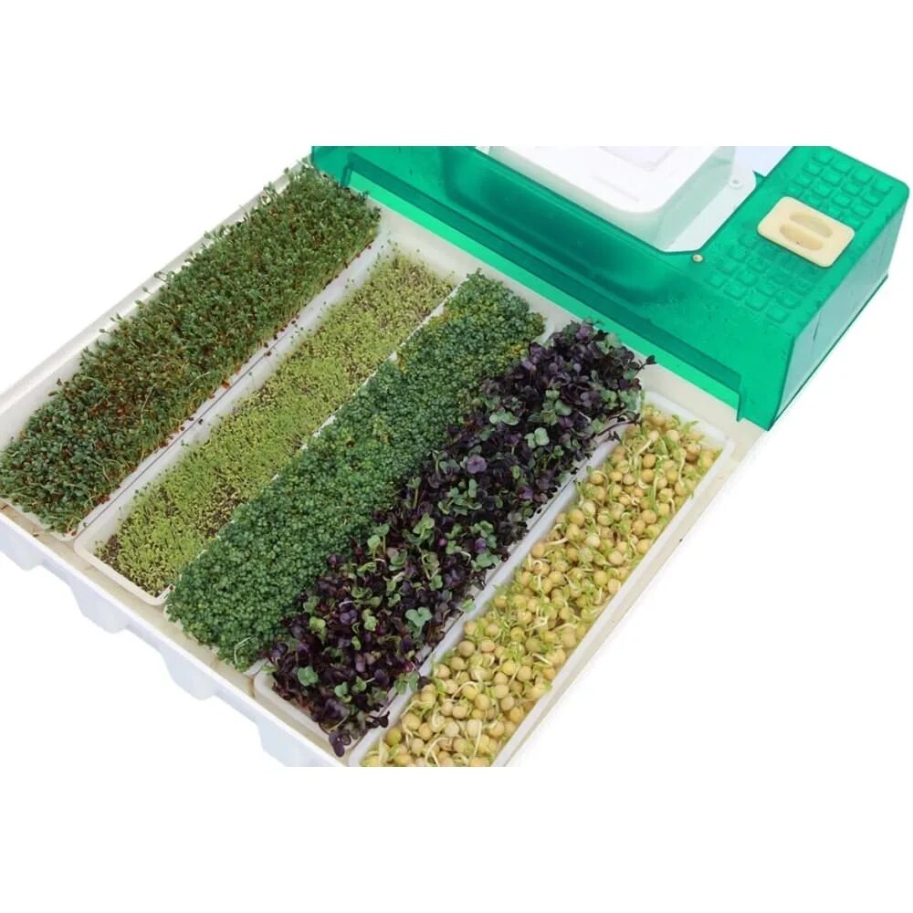 Семена для домашнего выращивания купить. Микроферма EASYGREEN EGL 55. Проращиватель микроферма. Проращиватель семян для микрозелени. Micro Green микрозелень.