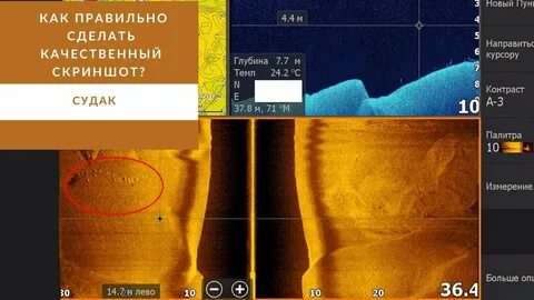 Как распознавать эхолотом
