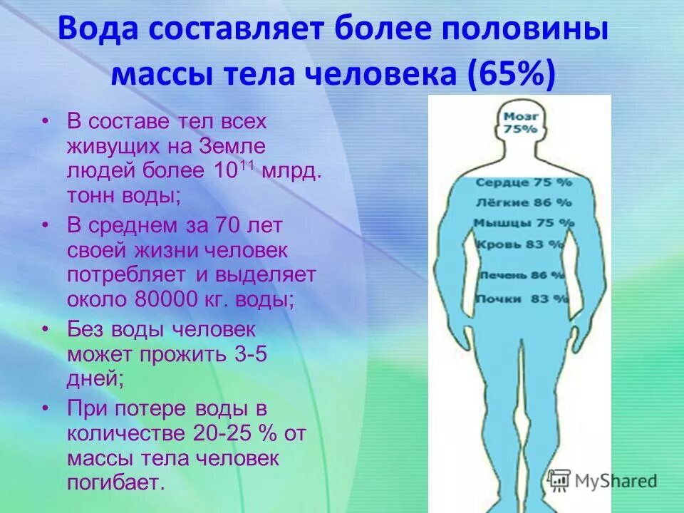 Центр расчета воды