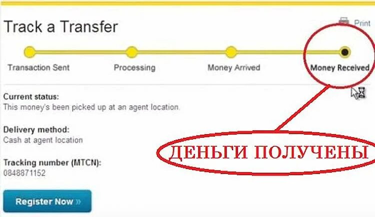 Status переводчик