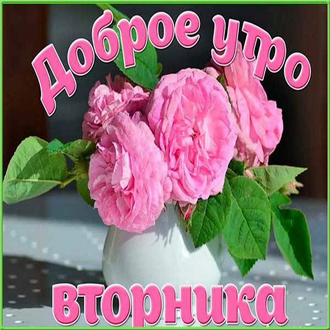 Доброе утро вторника пожелания. Классного вторника и хорошего настроения. вторник с добрым утром цветы. открытки со вторником. здравствуй вторник.