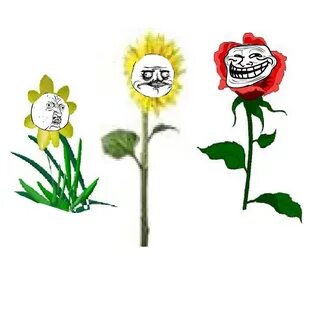 Flowers meme