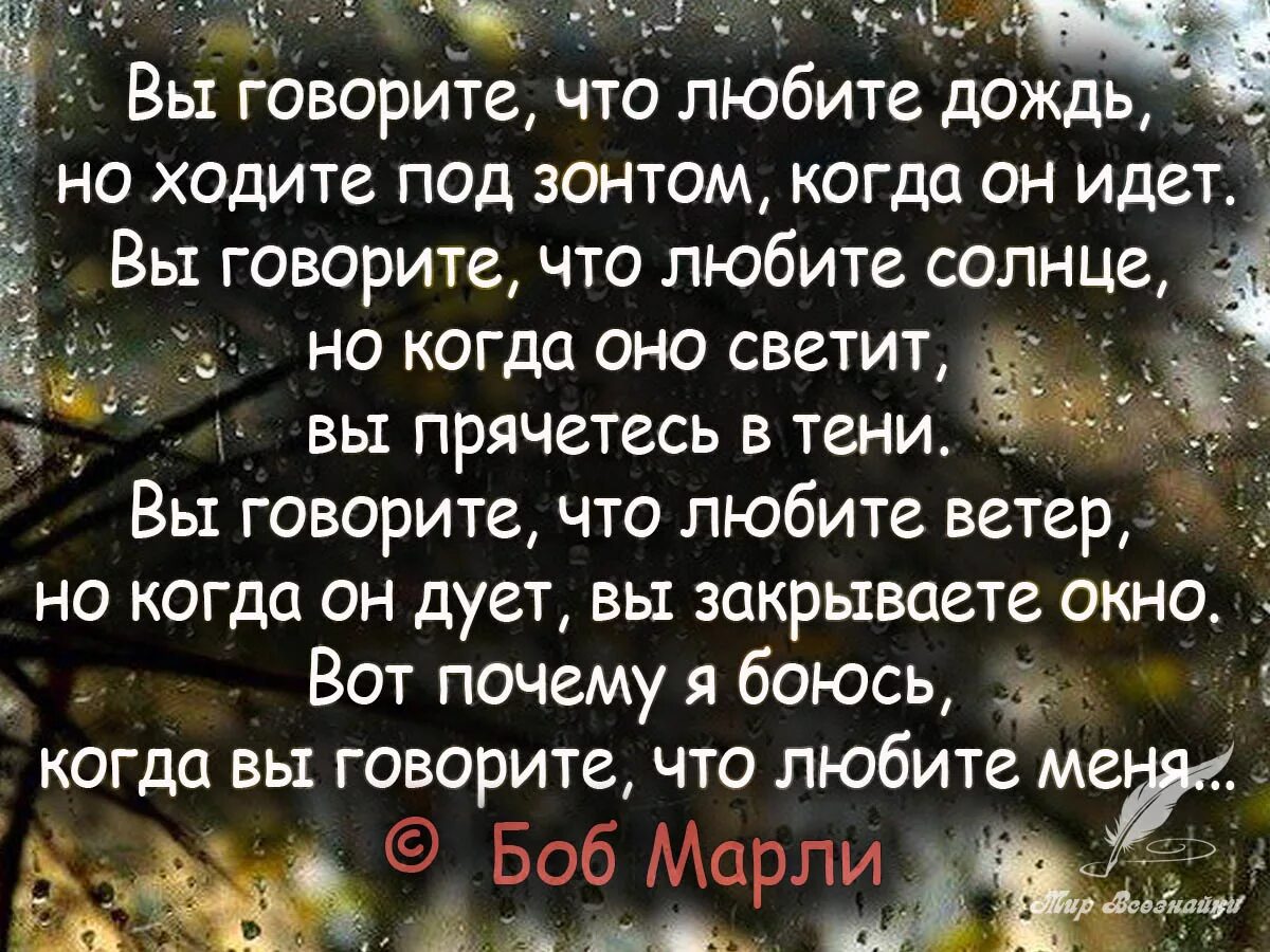 Дождь смысл чего. Афоризмы про дождь. Красивые фразы про дождь. Афоризмы и высказывания про дождь. Люблю дождь цитаты.