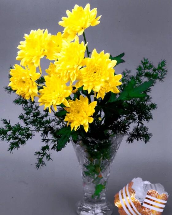 Гиперикум букет сантини зеленый. Дарю тебе букетик. Нарви букет. Композиции из цветов живых. Дарю красивый букет.