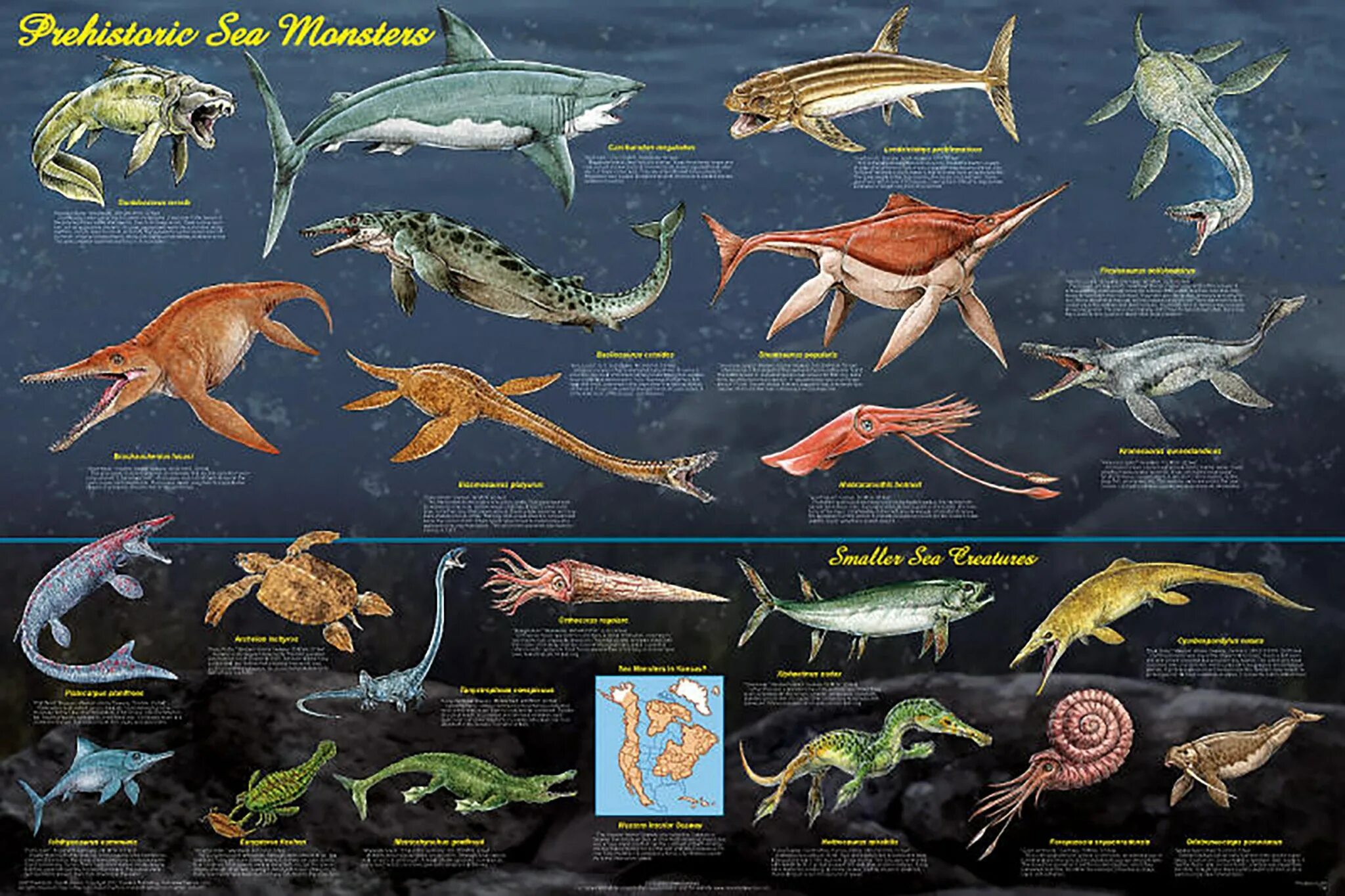 Морские динозавры мелового периода. Мозазавры мелового периода. Водные динозавры названия. Морские обитатели динозавры.