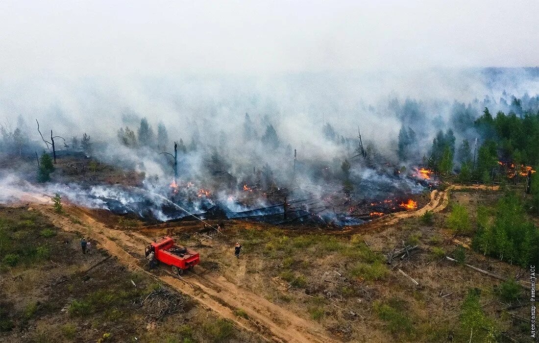 В рязани сгорел. Лесные пожары в Рязанской области 2022. Лесные пожары в Рязанской области в 2022 году. Пожары лесов в Рязанской области. Пожар в лесу.