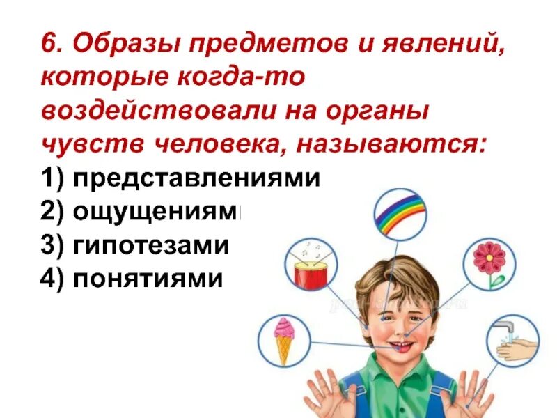 В чем заключается образ предмета. В чем заключается образ предмета