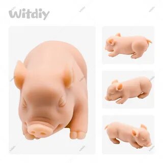 Pig 13